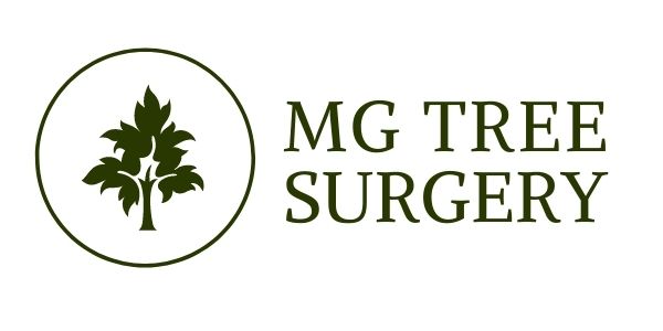 MG Tree Surgery Cambridge